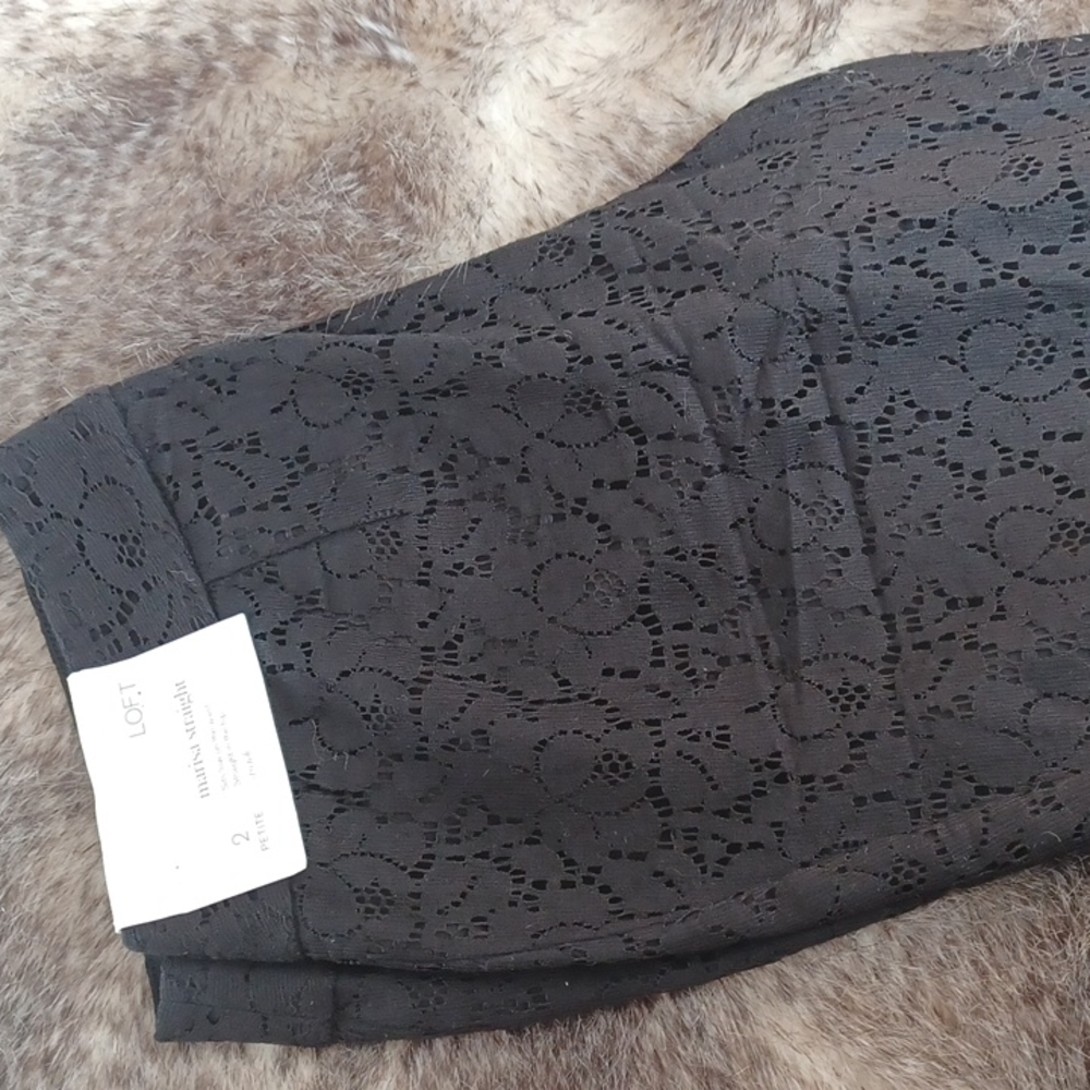 Ann Taylor  pants